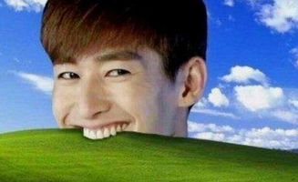 盘点明星们的搞笑表情包,让人笑出猪声,网友张艺兴那张真经典