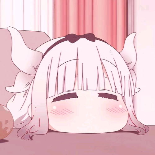 哔哩哔哩专栏