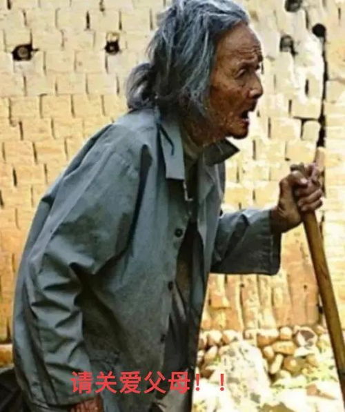 没人性,陕西靖边男子活埋79岁母亲何以为人不配做人