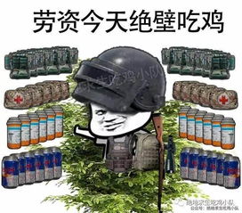 绝地求生表情包第一次想学英语竟是因为绝地求生搜狐游戏搜狐网