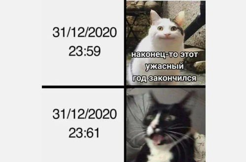 魔幻2020,俄网友的这些表情包看着既好笑,又心酸哈哈哈哈哈哈