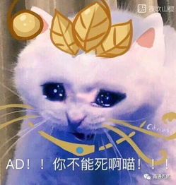 每日一笑冲破次元壁