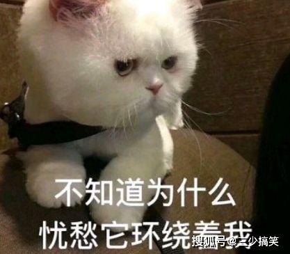 搞笑段子大爷,您究竟有多少个孩子搞笑的大爷笑话