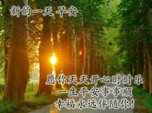 早上好祝福语大全大家早安表情早安语录早上好祝福语