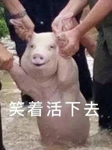 刚发布台风预警9级大风暴雨立马杀到,下班赶紧回家
