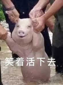 贪玩蓝月是怎么挣钱的揭秘游戏圈白送真相,阴阳师玩家快哭了