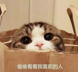 被央视公开批判的流量小鲜肉们集体剪头洗白,只有他栽了