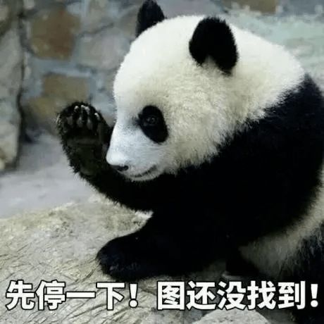 想你的夜,是体育之夜