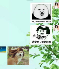 生活中有哪些容易被忽略,但其实很有趣的事