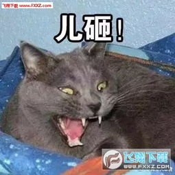 喊儿砸表情包搞笑版下载儿砸表情包完整版下载飞翔下载