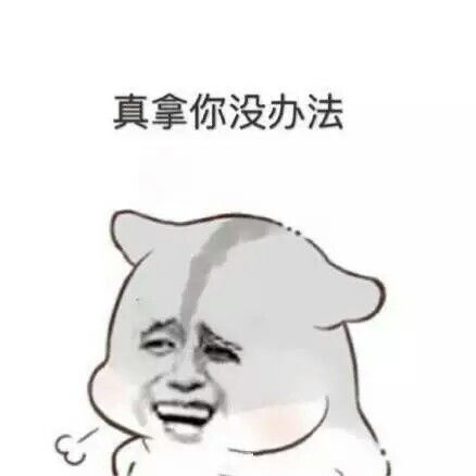 意境美图同人动物键盘壁纸大海搞笑g堆糖,美好生活研究所