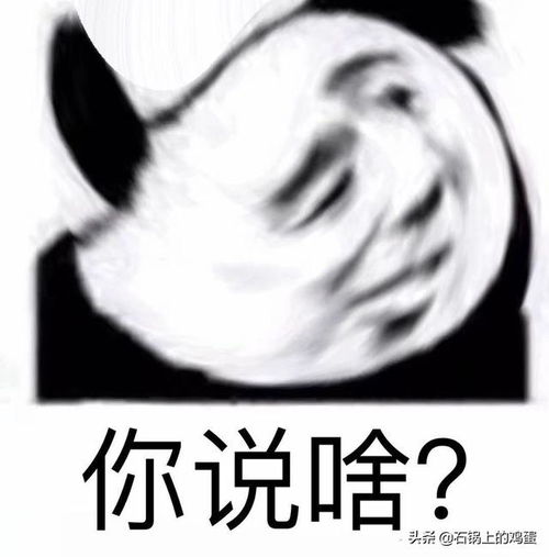 搞笑段子一群动物冲进便利店买东西,只有羊没有被打,为什么