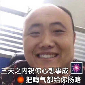 把你骨灰都给你扬了表情包