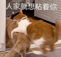 她凭什么被称为泫雅接班人