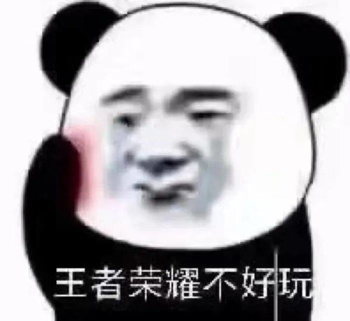 我抢到今年回家的票了你呢