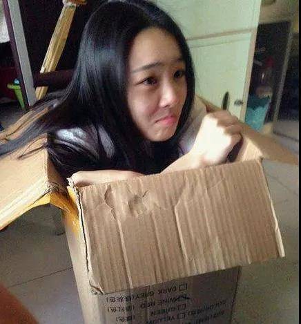 搞笑gif趣图挑战全网坐骑,就问你们服不服