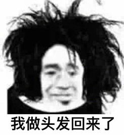 搞笑打招呼表情包做头发