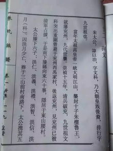 东山腰朱氏,枣庄古槐树下的鲁王后裔