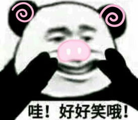 熊猫头怼人聊天表情包大全