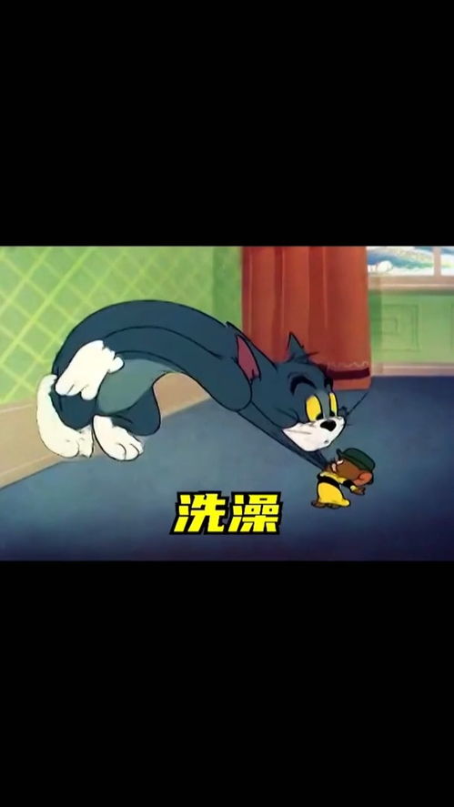 取图主页,洗澡你就洗澡...表情包搞笑视频经典段子情侣夫妻搞笑聊天记录猫和老鼠