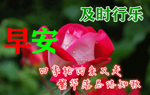 3月2日春天早上好动图表情包图片带字,春天早安问候祝福语图片大全动图2022