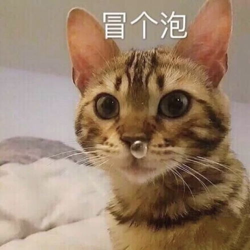 会被赞爆的憨憨沙雕句表情包