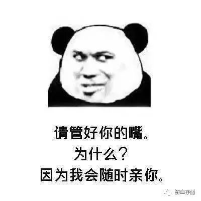 每日一笑土味情话熊猫表情包,表白可以用表情包了哦