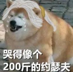 第五人格无法承受的重量,一只200斤的胖狗,演活了所有角色