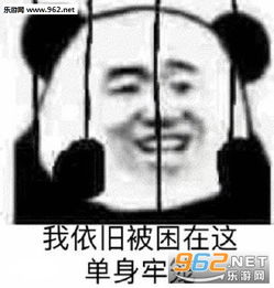 卧槽可以表情包动图我依旧被困在这单身牢笼表情包下载乐游网游戏下载