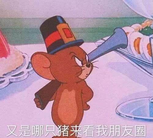 搞笑表情包带字猫和老鼠