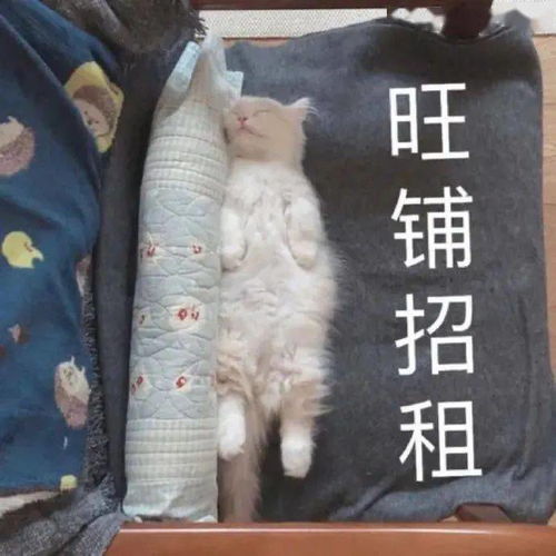 今日头像丨把昨天都作废现在你在我眼前