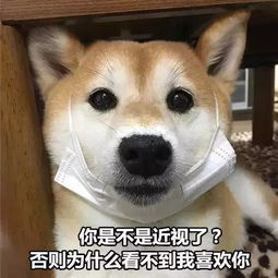 细思极恐,ab长成了黄小明时光对她做了什么