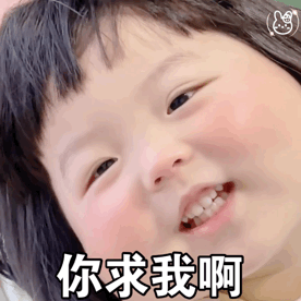王铁丸表情包小懒猪别睡啦