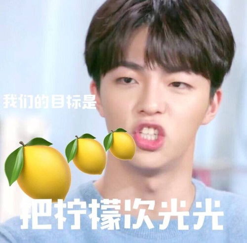 今日分享农农柠檬精系列表情包
