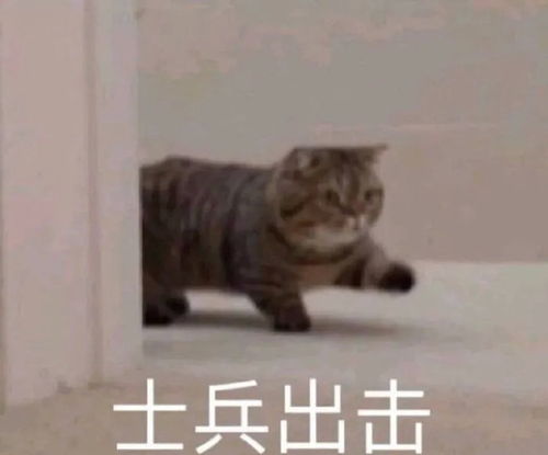 下大雨搞笑表情包幽默笑话