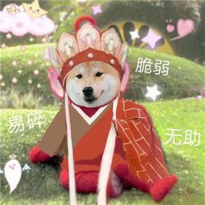 2021麻将的搞笑表情包超级有趣的关于麻将的热门表情