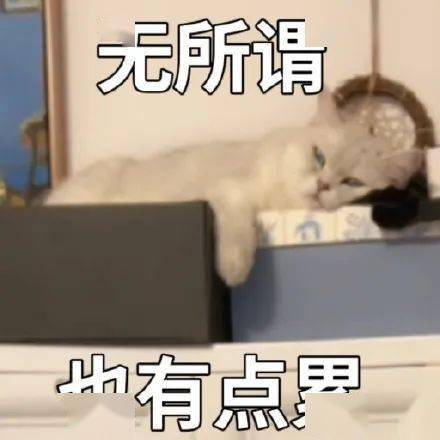 日常搞笑表情包i要不你再听听我狡辩