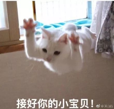 搞笑表情包带字一组小仙女