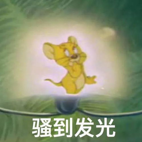 猫和老鼠动态表情包大全抖音猫和老鼠gif图片大全下载游戏吧