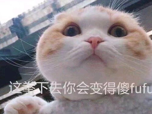 幽默笑话老公和朋友晚上吃饭喝了点酒,然后打车回家