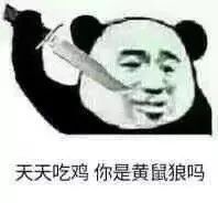 熊猫头套路表情包我要睡了,你要给我说晚安