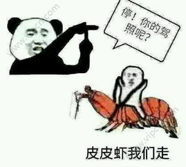 表情包app哪个好安卓表情包app推荐下载苹果表情包app推荐清风手游网