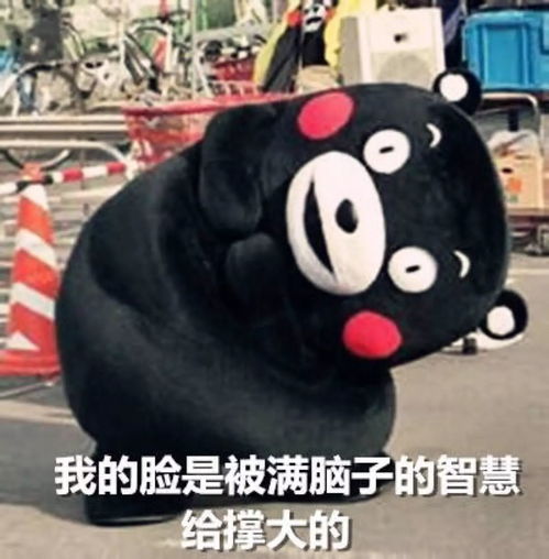 笑出声2017年度50大喜感新闻,他们把生活过成了段子