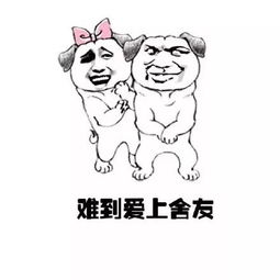 听说你也有个同款舍友