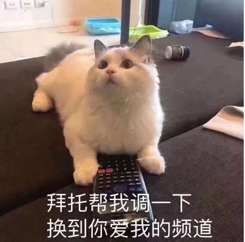 搞笑段子爆笑剧场,抱腿痛哭