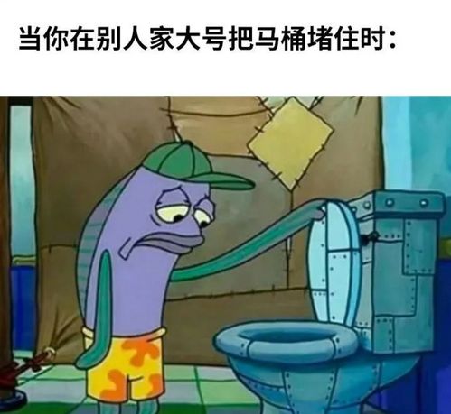 猫猫也会脱发秀逗的表情也太搞笑了吧,哈哈