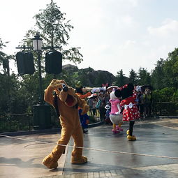 disney,点亮心中奇梦8月上海迪士尼乐园游玩全攻略娱乐餐饮住宿干货大总结