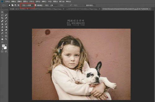 一分钟制作搞笑表情包