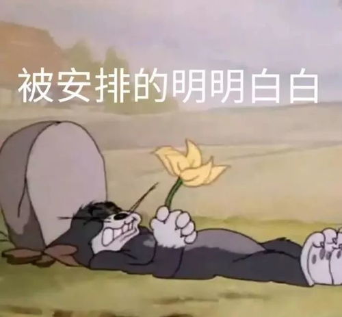 猫和老鼠表情包走出六亲不认的步伐