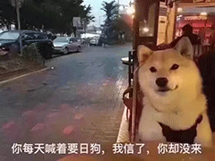 今日份沙雕表情包我还有机会吗
